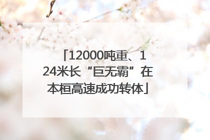 12000吨重、124米长“巨无霸”在本桓高速成功转体