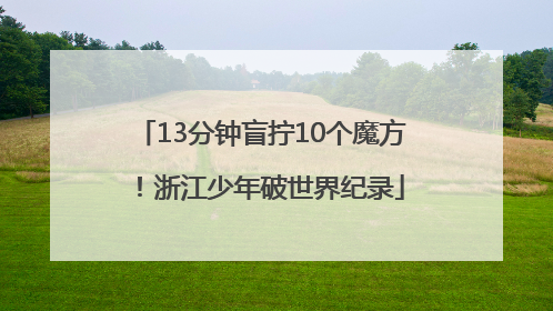 13分钟盲拧10个魔方！浙江少年破世界纪录