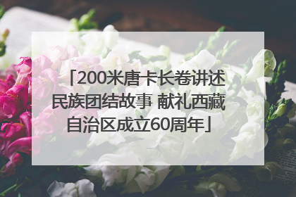 200米唐卡长卷讲述民族团结故事 献礼西藏自治区成立60周年
