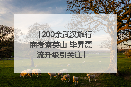 200余武汉旅行商考察英山 毕昇漂流升级引关注