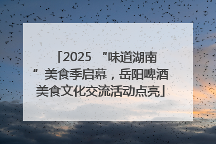 2025 “味道湖南”美食季启幕，岳阳啤酒美食文化交流活动点亮