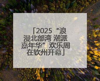 2025“浪漫北部湾 潮派嘉年华”欢乐周在钦州开幕