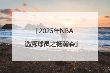 2025年NBA选秀球员之杨瀚森