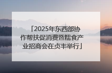 2025年东西部协作帮扶促消费暨糯食产业招商会在贞丰举行