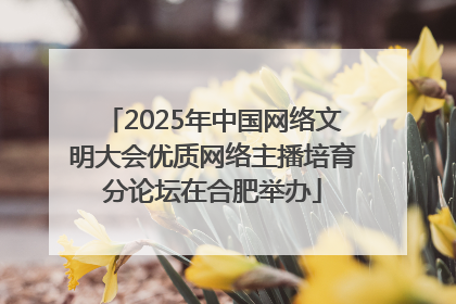 2025年中国网络文明大会优质网络主播培育分论坛在合肥举办