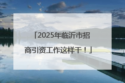 2025年临沂市招商引资工作这样干！