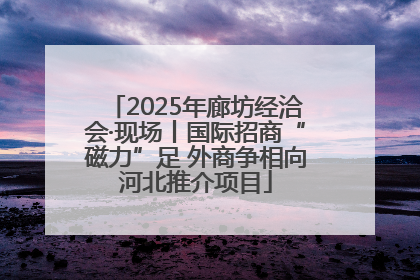 2025年廊坊经洽会·现场丨国际招商“磁力”足 外商争相向河北推介项目