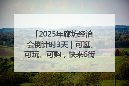 2025年廊坊经洽会倒计时3天｜可逛、可玩、可购，快来6街16巷逛市集