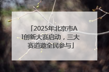 2025年北京市AI创新大赛启动，三大赛道邀全民参与