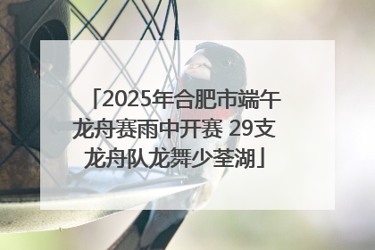 2025年合肥市端午龙舟赛雨中开赛 29支龙舟队龙舞少荃湖