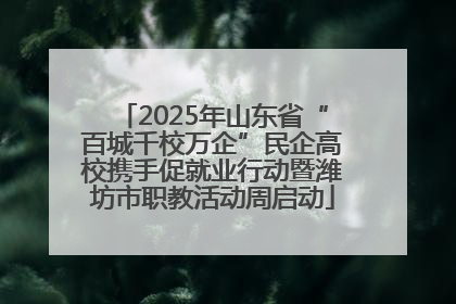 2025年山东省“百城千校万企”民企高校携手促就业行动暨潍坊市职教活动周启动