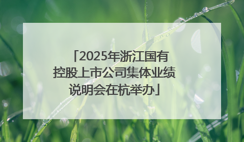 2025年浙江国有控股上市公司集体业绩说明会在杭举办