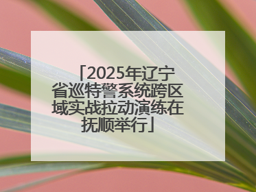 2025年辽宁省巡特警系统跨区域实战拉动演练在抚顺举行