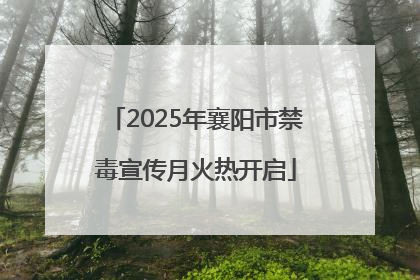 2025年襄阳市禁毒宣传月火热开启