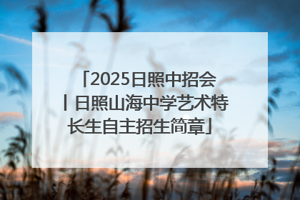 2025日照中招会丨日照山海中学艺术特长生自主招生简章