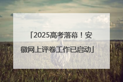 2025高考落幕！安徽网上评卷工作已启动