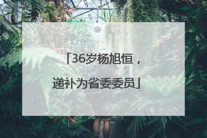 36岁杨旭恒，递补为省委委员