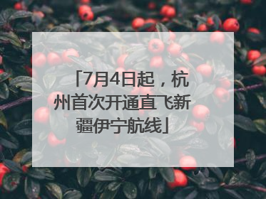 7月4日起，杭州首次开通直飞新疆伊宁航线