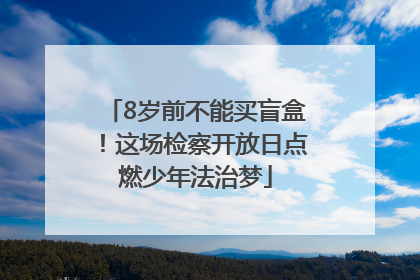 8岁前不能买盲盒！这场检察开放日点燃少年法治梦