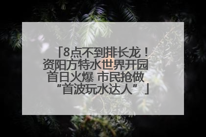 8点不到排长龙！资阳方特水世界开园首日火爆 市民抢做“首波玩水达人”