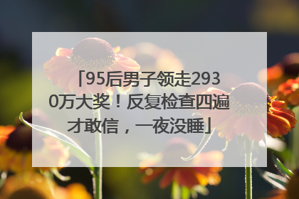 95后男子领走2930万大奖！反复检查四遍才敢信，一夜没睡
