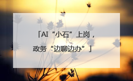 AI“小石”上岗，政务“边聊边办”