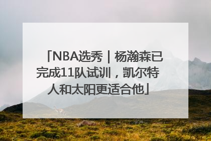 NBA选秀｜杨瀚森已完成11队试训，凯尔特人和太阳更适合他