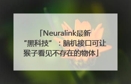 Neuralink最新“黑科技”：脑机接口可让猴子看见不存在的物体