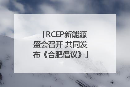 RCEP新能源盛会召开 共同发布《合肥倡议》