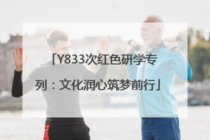Y833次红色研学专列：文化润心筑梦前行